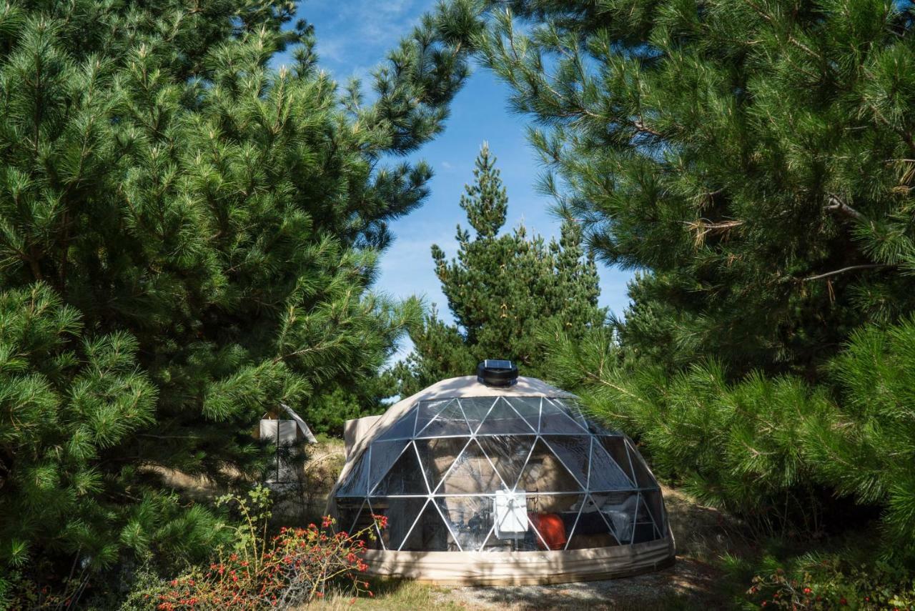 Mt Gold Glamping Hotel Wanaka Bagian luar foto
